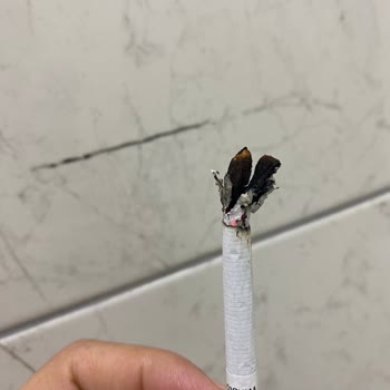 Winston Slender Q Line Cigarettes Contain Foreign Materials Like Wood