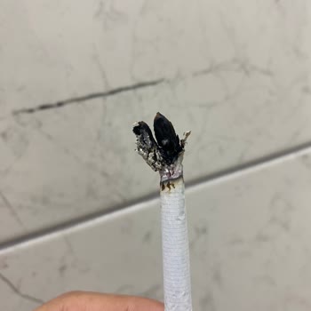 Winston Slender Q Line Cigarettes Contain Foreign Materials Like Wood