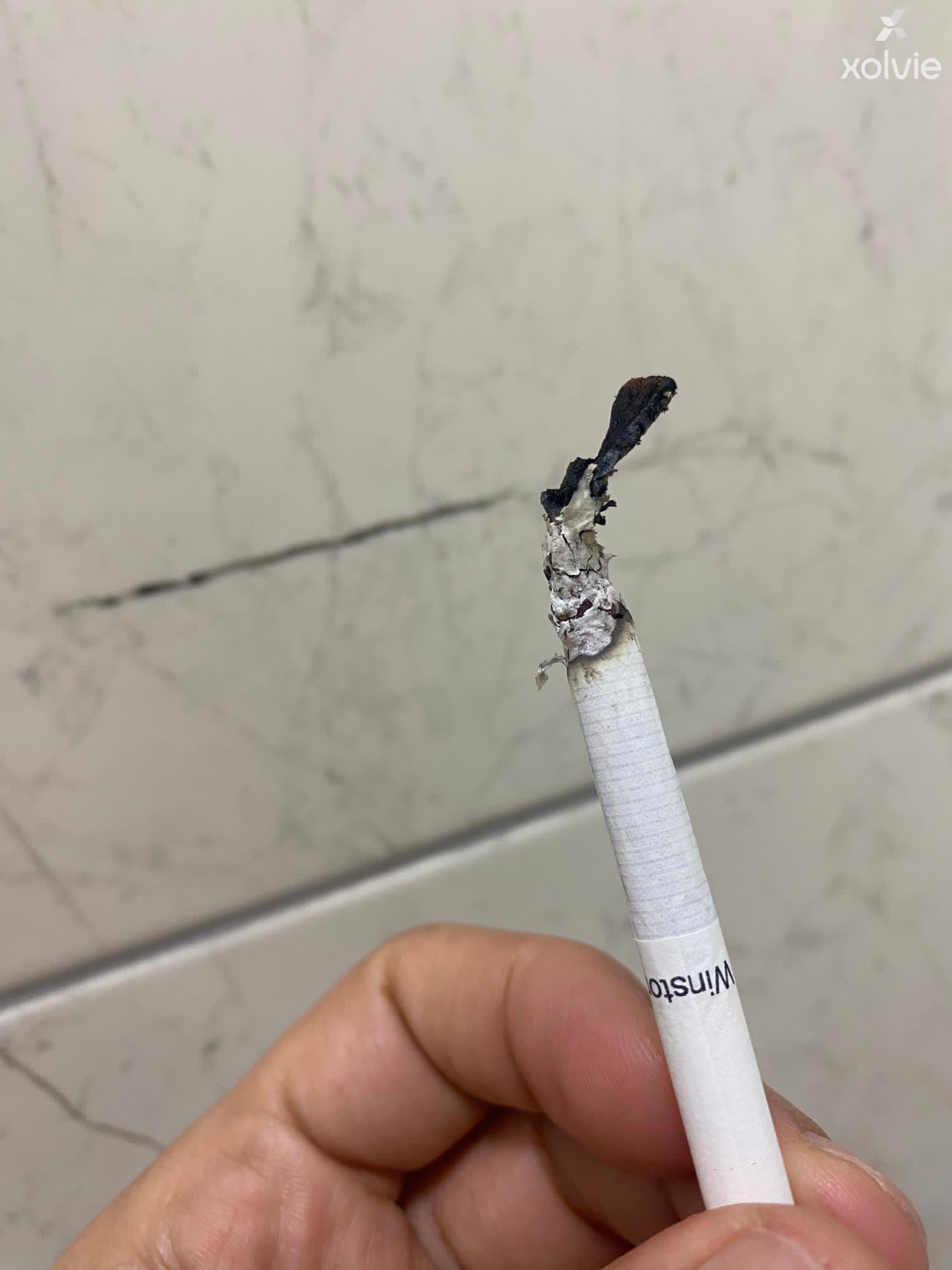 bloom cigarette Anne Bloom