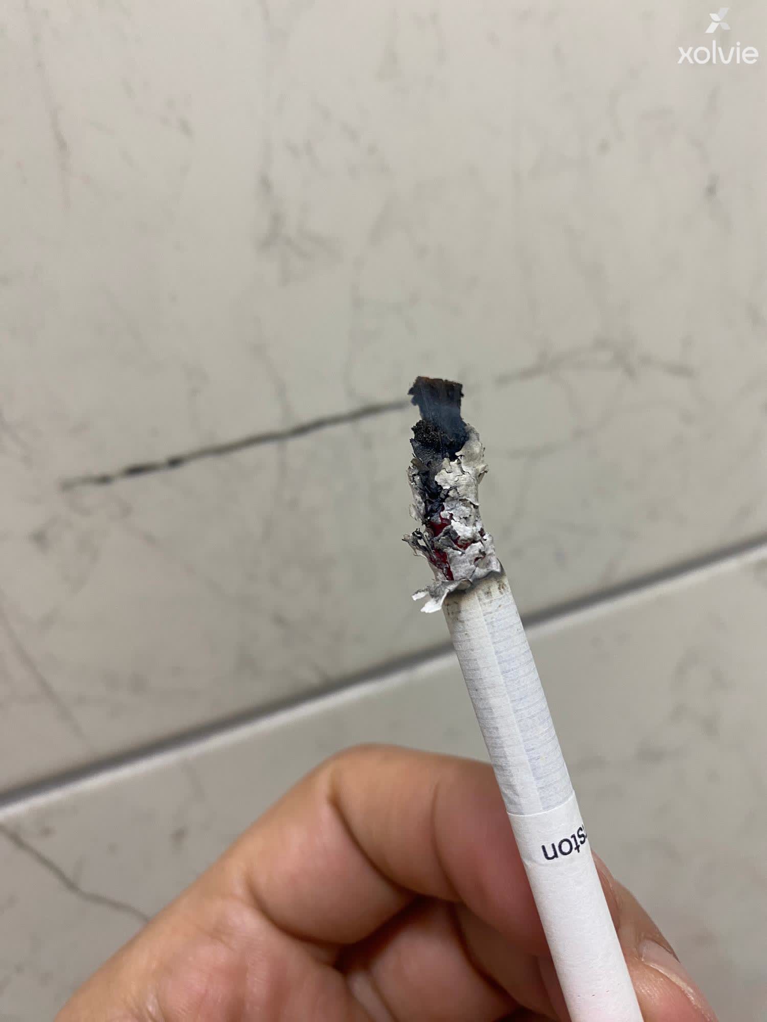 JTI (Japan Tobacco International) Winston Slender Q Line Cigarettes Contain  Foreign Materials Like Wood