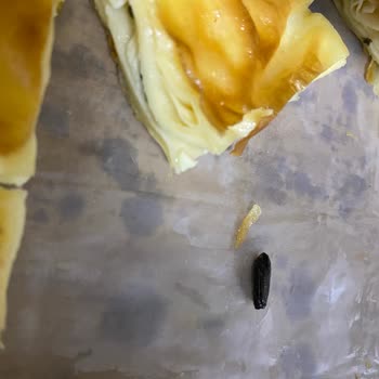 Has Börek | Erzurum Su Böreğinin İçinden Arı Böceği Çıktı