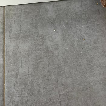 Philips 7500 Robot Süpürge İlk Günden Beri Çekiş Gücü Sorunu Ve Servis Desteği Alamama
