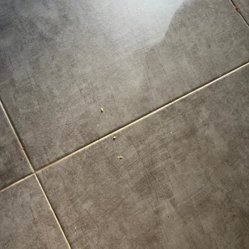 Philips 7500 Robot Süpürge İlk Günden Beri Çekiş Gücü Sorunu Ve Servis Desteği Alamama