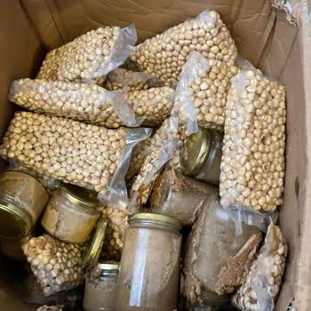 Kırık Ve Eksik Kargo İçin 50 Gündür Sonuç Alamadım, Mağduriyetim Devam Ediyor