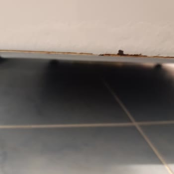 Electrolux Kurutmalı Çamaşır Makinesinde Paslanma ve Servis Kaynaklı Hasar