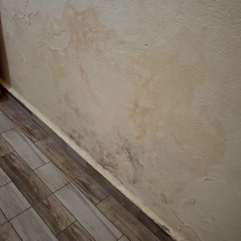 Hotels.com Unzumutbare Zimmerbedingungen im Caner Hotel und verweigerte Rückerstattung