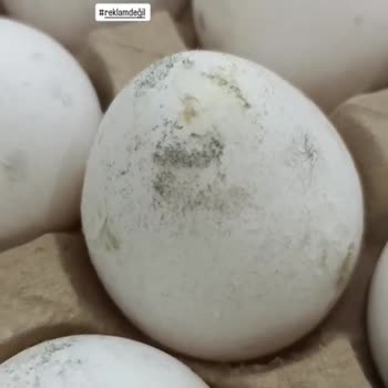 BİM Ve Küflü Yumurtaları!