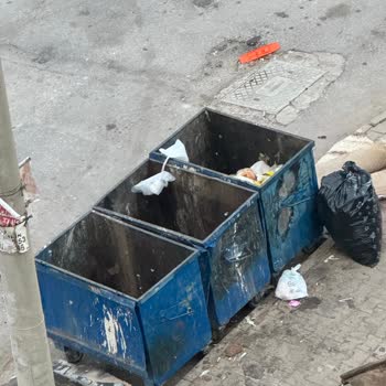 Buca Belediyesi Çöp Konteynerlerinin Apartmana Yakınlığı Nedeniyle Koku Ve Sinek Sorunu