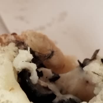 Simitten Çıkan Yabancı Maddeler Ve Hijyen Sorunu: Şube Kapatılsın