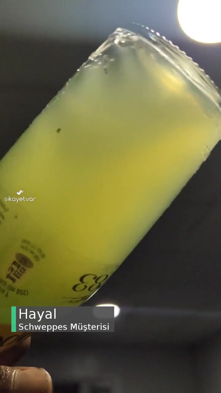 Schweppes İçindekiler Mide Bulandırıyor videonun kapak resmi