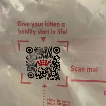 Orijinal Olmayan Kedi Maması Ve İade Sorunu