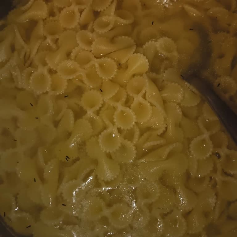 Filiz Makarna Paketinden Böcek Çıkması Şok Etti!