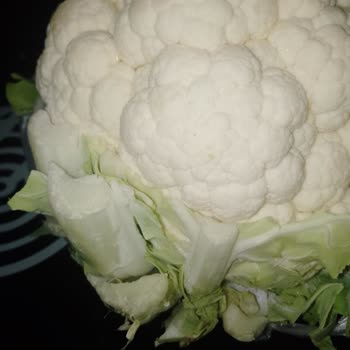 Manav Reyonunda Kaba Davranış Ve Müşteri Memnuniyetsizliği