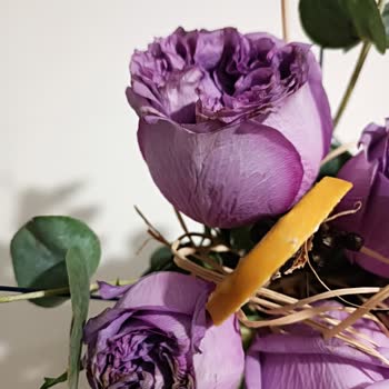 Solmuş Ve Kullanılmış Çiçek Teslimatı Sonrası Mağduriyet