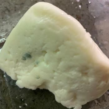 Küflü Peynir Satışı Ve İlgisiz Mağaza Personeli Nedeniyle Yaşanan Hayal Kırıklığı