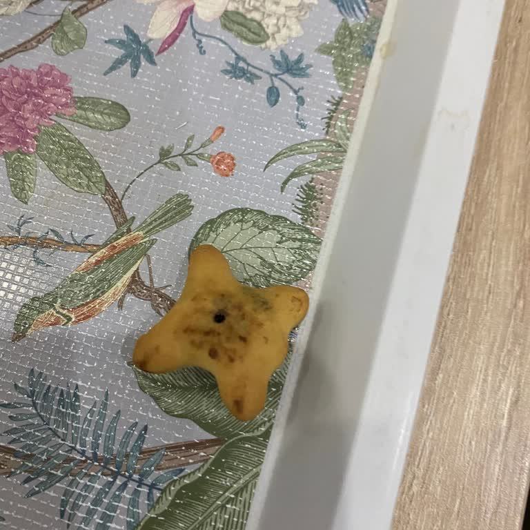 Ozmo Çikolatalı Üründe Kurt Ve Kalıntı Sorunu