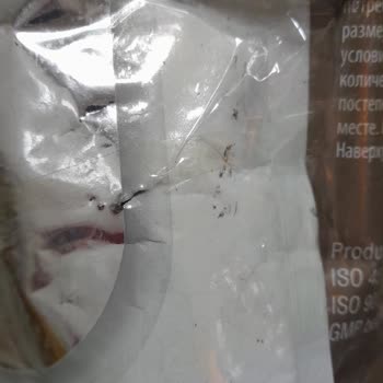 Patlak Ve Bantlanmış Kedi Maması Tazeliği Konusunda Endişeliyim