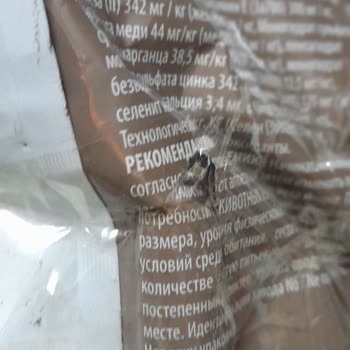 Patlak Ve Bantlanmış Kedi Maması Tazeliği Konusunda Endişeliyim