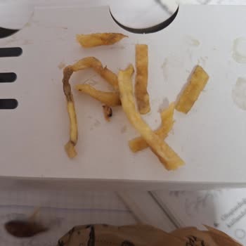 Dürümle Aynı Şubede Tekrarlayan Sipariş Sorunları ve İlgisiz Personel