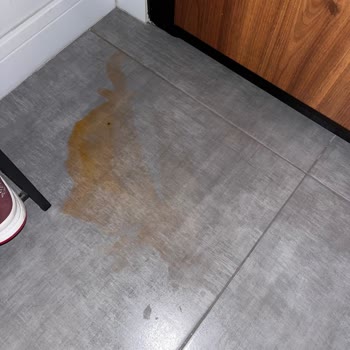 Çamaşır Suyu Gıdalarla Karıştı, Sağlığımız Tehlikeye Girdi!