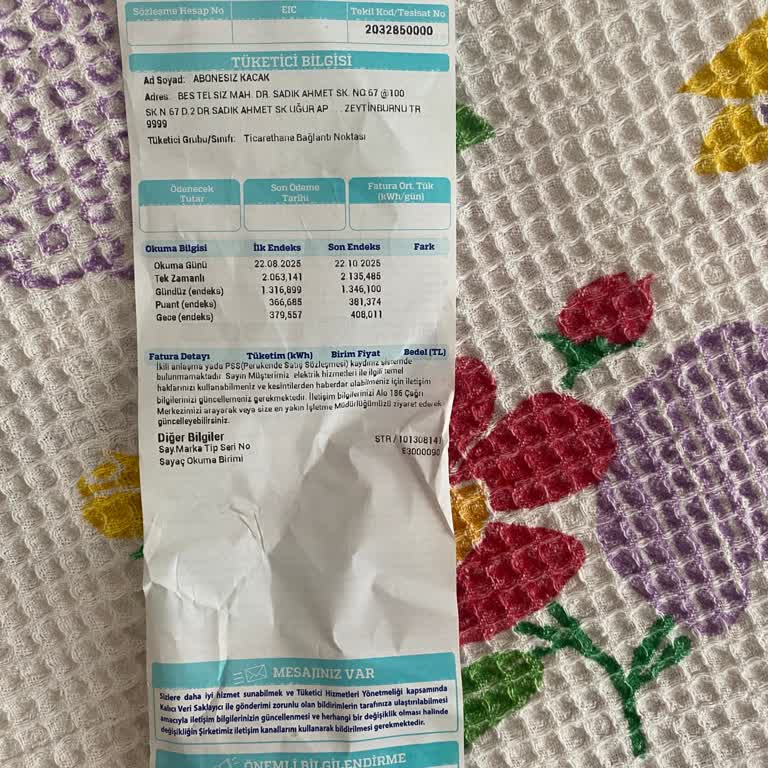 Elektrik Aboneliği Başlatılamadı Üstüne Abonesiz Kullanım Gerekçesiyle Fatura Kesildi