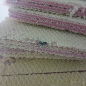 Gofretin Üzerinde Siyah Maddeyle Karşılaşmak Hayal Kırıklığı Yarattı