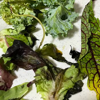 Aldığım Akdeniz Salatası Bozuk Ve Kirli Çıktı Sürekli Aynı Sorun Yaşanıyor