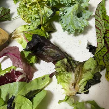 Aldığım Akdeniz Salatası Bozuk Ve Kirli Çıktı Sürekli Aynı Sorun Yaşanıyor