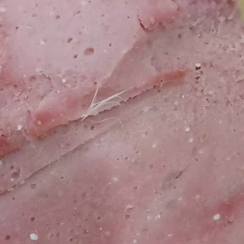 Pınar Hindi Salamda Tüy Çıkması Nedeniyle Hayal Kırıklığı