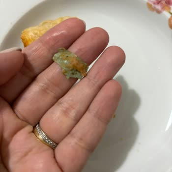 Superfresh Dondurulmuş Börekte Yabancı Cisim Şoku: Çocuğumun Sağlığı Tehlikeye Girdi