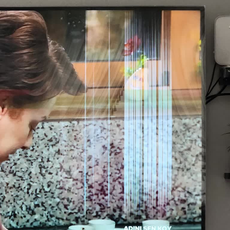 Garantili Vestel Televizyonda Çizgi Sorunu Ve Servis İlgisizliği