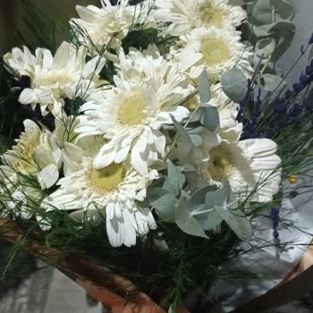 Sipariş Edilen Çiçekler Solmuş Ve Kusurlu Geldi, Ücret İadesi Talebim Var