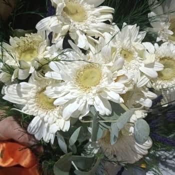 Sipariş Edilen Çiçekler Solmuş Ve Kusurlu Geldi, Ücret İadesi Talebim Var