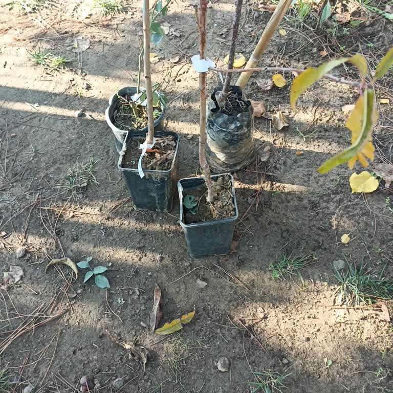 Aldatıcı Ürün Ve İlgisiz Müşteri Hizmetleriyle Hayal Kırıklığı