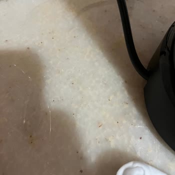 Arızalı Espresso Makinesi Su Sızdırdı Elim Yandı Mutfağım Su İçinde Kaldı