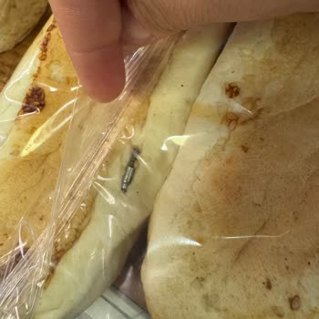 Sıcaktava Unlu Mamulleri Ambalajlı Sandviç Ekmeğinin İçinden Paslı Çivi Çıktı!