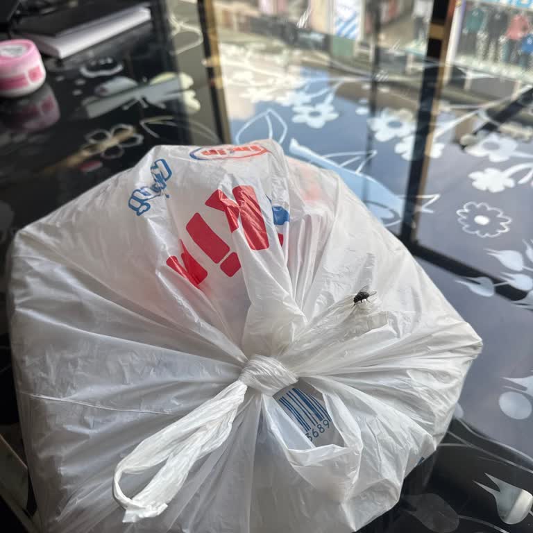 Böcekli Ve Kokmuş Yumurta Kolisi, Yetersiz Çözüm Süreci