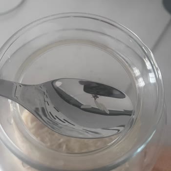 Aldığım Pirincin İçinden Sineğe Benzer Yabancı Madde Çıktı