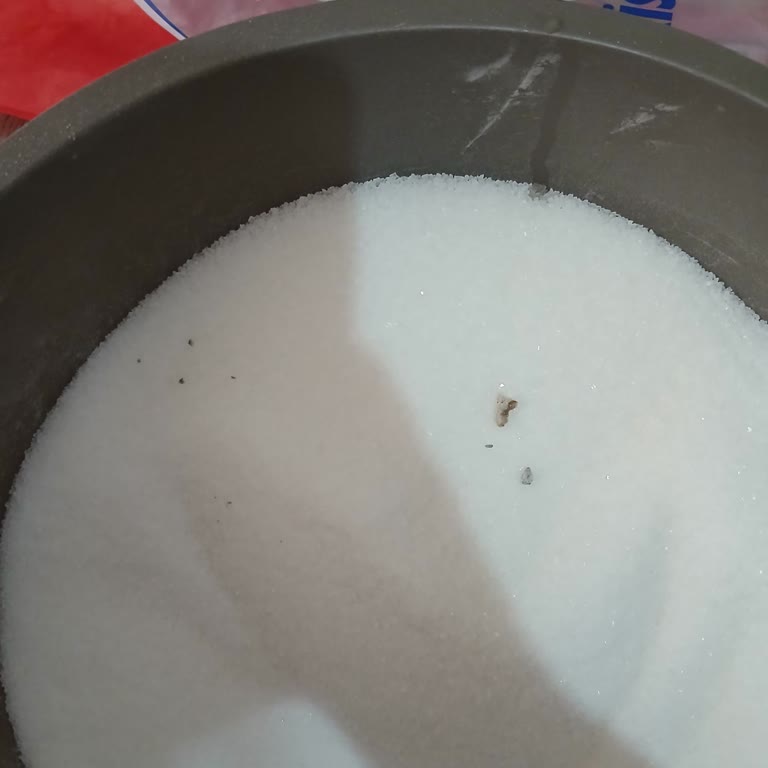 Gimsa Toz Şekerin İçinde Birden Fazla Yabancı Madde