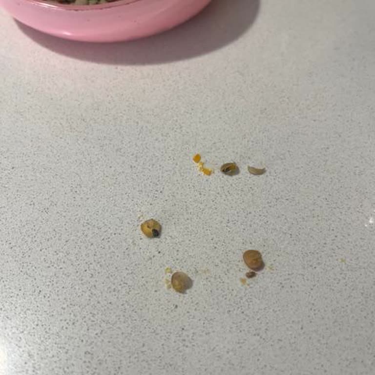 Aldığım Mercimekten Böcek Çıktı, Ürün İadesi Ve Telafisi Talep Ediyorum