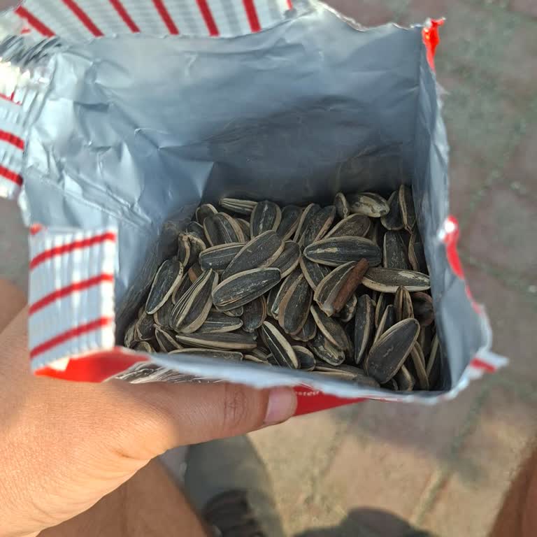 Tadım Ay Çekirdeği Boş Ve Tatsızdı!