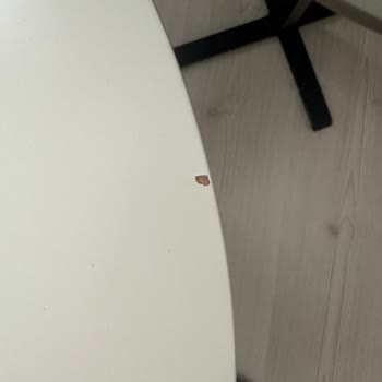 Enza Home'dan Aldığım Tüm Ürünlerde Kalite Sorunu Ve İlgisiz Servis