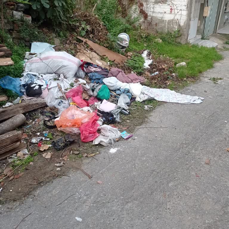 Sokağımızdaki Sürekli Temizlik Sorunu Ve Çözüm Talebi