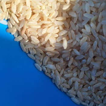 Açtığım Pirinçten Kurtlar Çıktı: Son Kullanma Tarihine Rağmen Bozulmuş Ürün