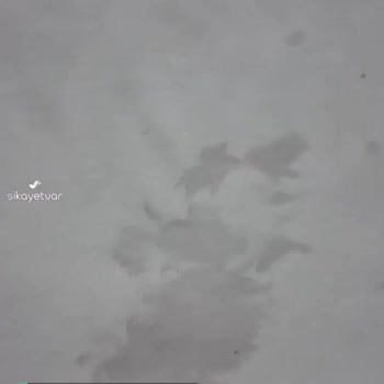 Arçelik Yıkandıktan Sonra Ekstra Lekeli Çıkıyor Çamaşırlar!
