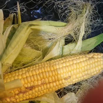 Migros Sanal Market'ten Gelen Taze Mısırda Kurtlar Ve Yetersiz Müşteri Hizmeti