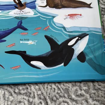 Çocuk Akademi Çocuk Kitabında Yanlış Bilgi Ve Yayınevine Ulaşılamıyor