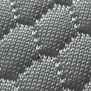 Aldığımız Yatak Odası Takımı Hem Tahta Kurusu Hem Eksik Ve Sorunlu Teslim Edildi