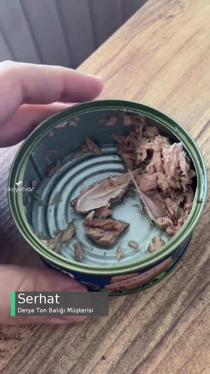 Derya Ton Balığının İçinden Çıkanlar videonun kapak resmi