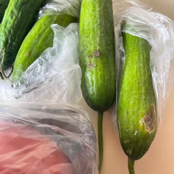 Çürük Ürünler Ve İade Sorunu: Carrefour'dan Hayal Kırıklığı